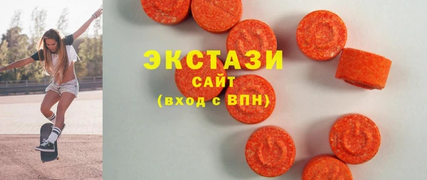 индика Заводоуковск