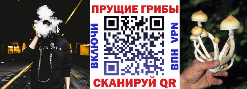 MEGA рабочий сайт  закладка  Спасск  Галлюциногенные грибы Psilocybine cubensis 